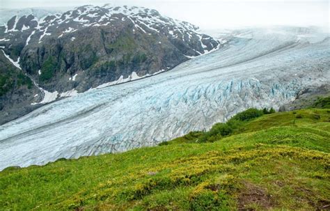 Exit Glacier Kenai Fjords National Park Alaska