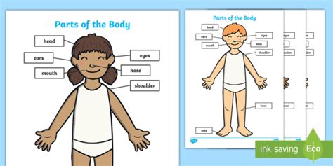 Matchless Labelling Body Parts Eyfs Cut Out Printables For Preschool