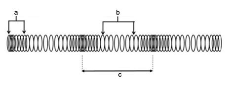 Longitudinal Wave Anatomy Diagram Quizlet