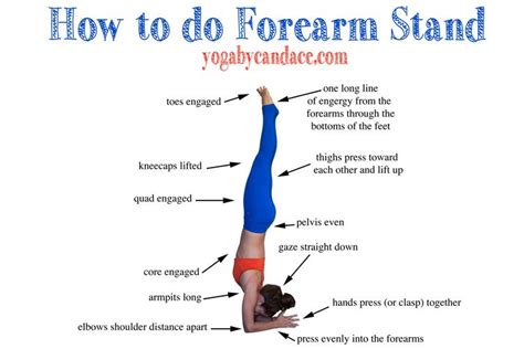 How To Do Forearm Stand Forearm Stand Yoga Poses Yoga Inversions