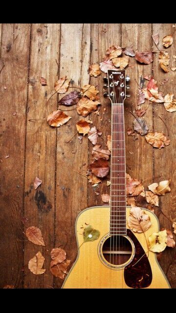 Guitar And Leaves Guitar Guitar Photography Music Love
