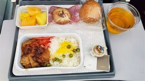 Hawaiian Airlines Food On My Economy Flight To Japan 🍵 What Meals Are