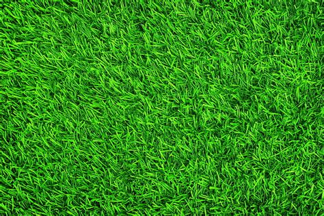 Hd Wallpaper View Of Green Lawn Lawn Grass Grass Green Summer Garden Wallpaper Flare