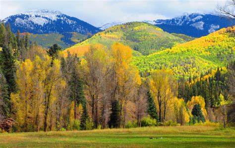 The Best Time And Place To See Fall Foliage In Southwest Colorado The