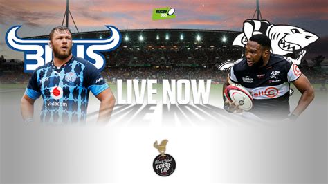 Bulls vs sharks predictions for saturday's currie cup match. RECAP: Bulls v Sharks | Rugby365