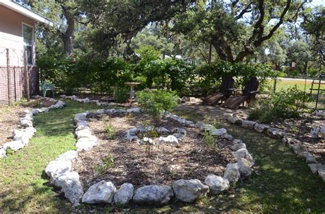 Window On A Texas Wildscape May 2014 In Our Wildscape