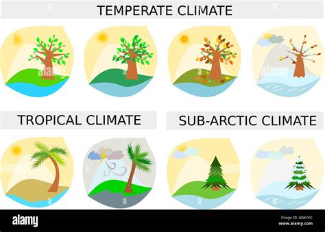 Seasons Illustrations Various Climate Types In Vector Format Stock