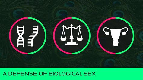Why Sex Matters — Paradox Institute