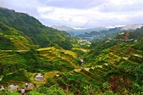 Ifugao Banaue Rice Terraces