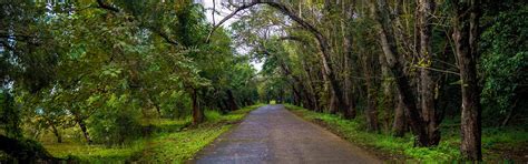State Botanical Garden Parks And Recreation Odisha Bhubaneswar Me
