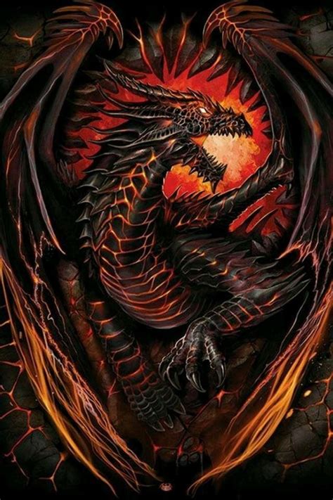 Pin De Sue Todd En Fantasy Art Dragones Dragones Mitologicos
