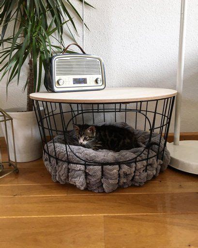 6 Cool Cat Beds That Double As Home Decor Daily Dream Decor