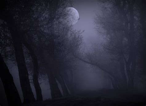 Foggy Moon By Autumns0ng On Deviantart