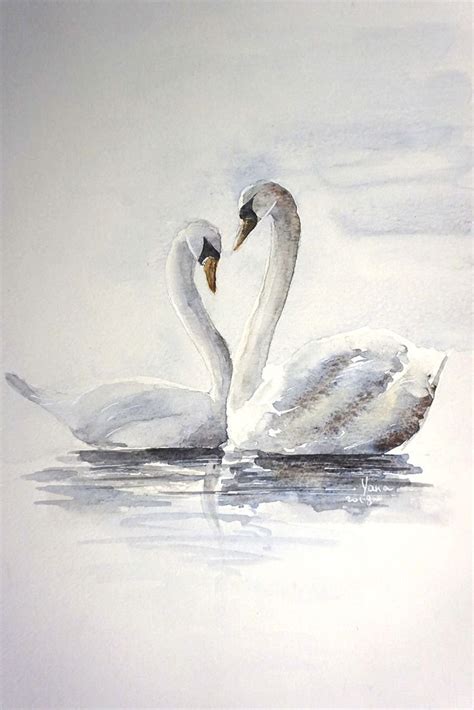 White Swans Original Watercolor Painting Birds Artfinder