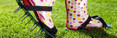 Don't hesitate to call now for a free estimate. A guide to using a lawn aerator | lovethegarden
