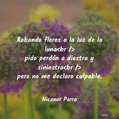 Poemas De Flores Literato