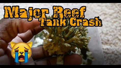Major Reef Tank Crash Youtube