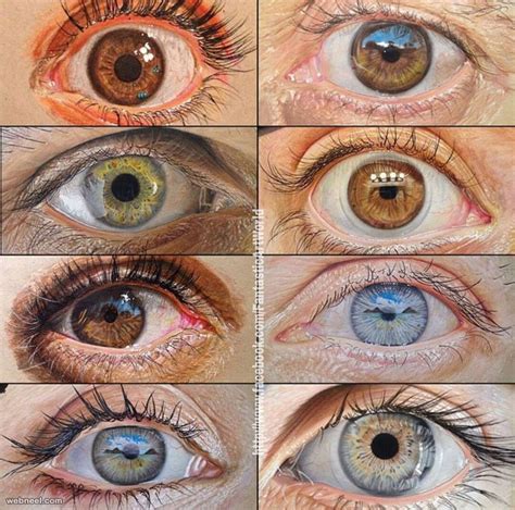 Eyes Color Pencil Drawing By Kafle Sun Eal 4 Preview Realistic