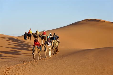 Imágene Experience Viaje En Camellos Por El Desierto Del Sahara