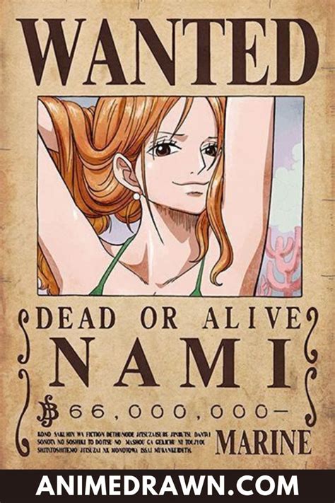 List Of One Piece Bounties Character Ranked Anime One Piece