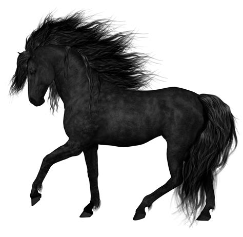 Horse Png Horse Transparent Background Freeiconspng