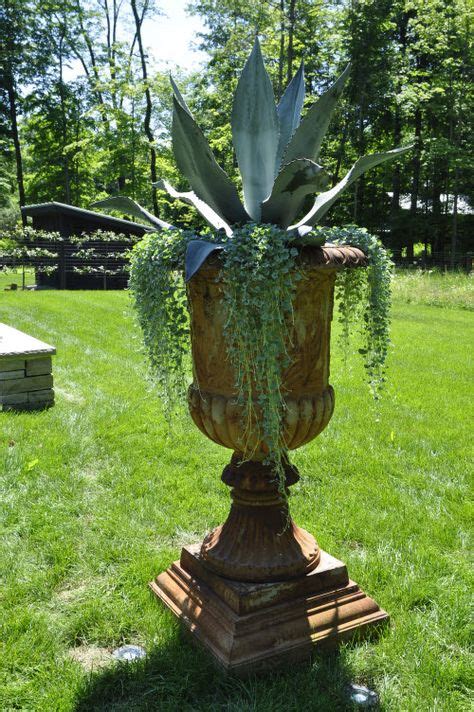 21 Urn Plantings Ideas Container Gardening Container Plants Plants