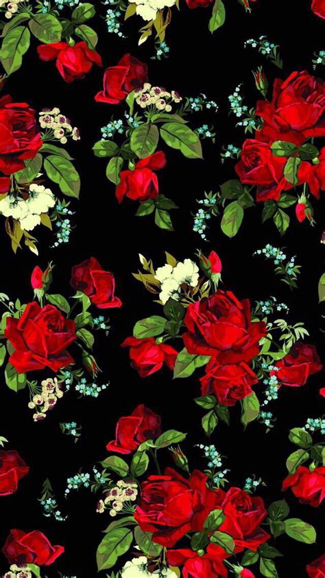Wallpaper Iphone⚪️ Red Roses Wallpaper Cellphone Wallpaper Rose
