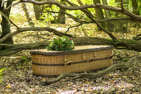 English Willow Coffin In 2020 Natural Materials Eco Friendly Ash Urn