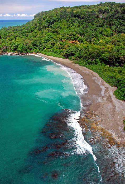 Matapalo Peninsula De Osa Pacífico Sur Costa Rica Photo Desafio