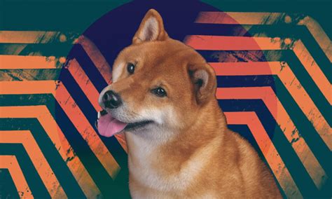 Shiba Inu Coin Everything You Need To Know Tech Magazine
