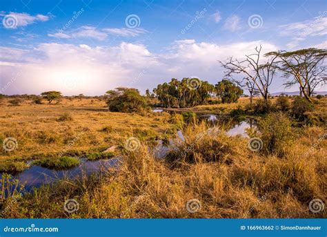 River And Lake In Beautiful Landscape Scenery Of Serengeti National