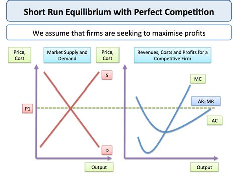 In reality, it is hard to find examples of industries that can be called as perfectly competitive market. Perfect Competition - Short Run Price and Output ...