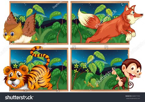 Four Forest Scenes Wild Animals Illustration เวกเตอร์สต็อก ปลอดค่า