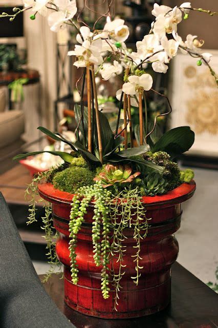 Drifts are groups of plants that are arranged in an organic way in your landscape. Chartreuse Home Furnishings | Beautiful orchids, Orchid ...