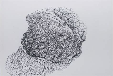 Exercise Stipples And Dots Dotted Drawings Stippling Art Stippling