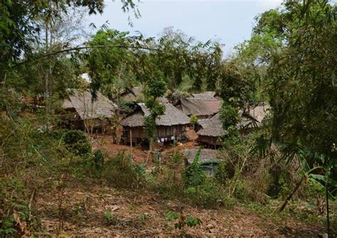 Chiang Mai Hill Tribe Villages 2020 Travel Recommendations Tours
