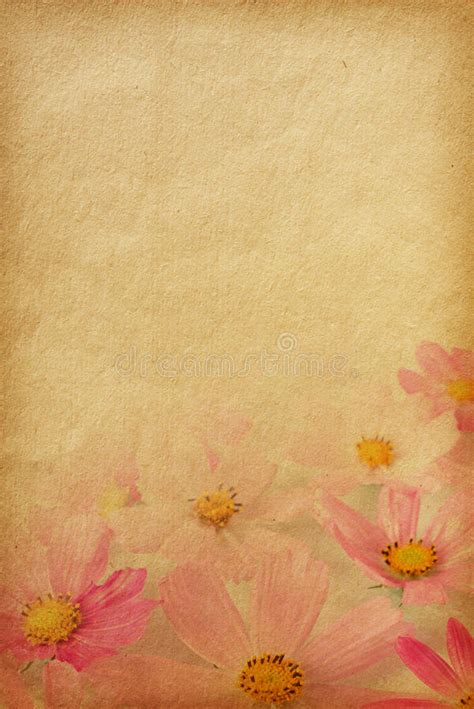Old Paper With Floral Border Stock Image Image Of Decor Grunge