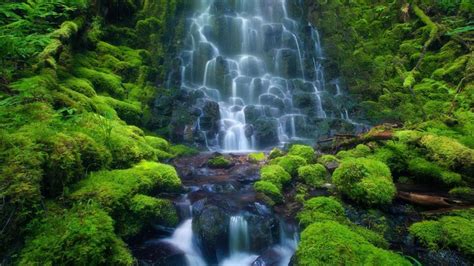 Animated Waterfall With Sound Android Iphone Desktop Hd Backgrounds Wallpapers P K