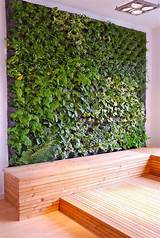 Living Wall | Vertical garden diy, Vertical garden wall, Vertical garden design