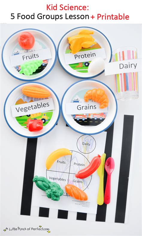 Science For Kids Learning About The 5 Food Groups Printable A
