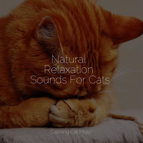 Ocean Air_Music for Pets Library、Pet Care Club、Music for Cats TA_高音质在线