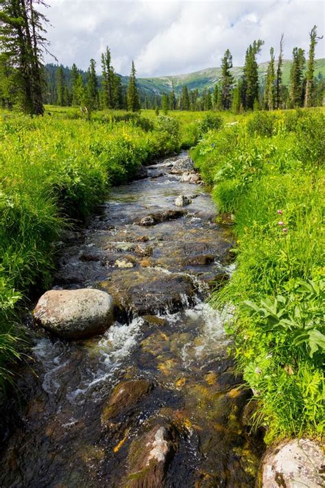 River On Meadow Stock Image Image Of Landscape Environment 123672047