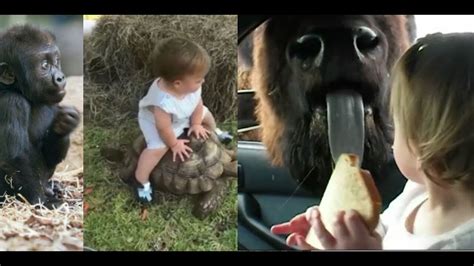 Funniest Babies With Craziest Zoo Animals Part 02 Funny Baby Fails