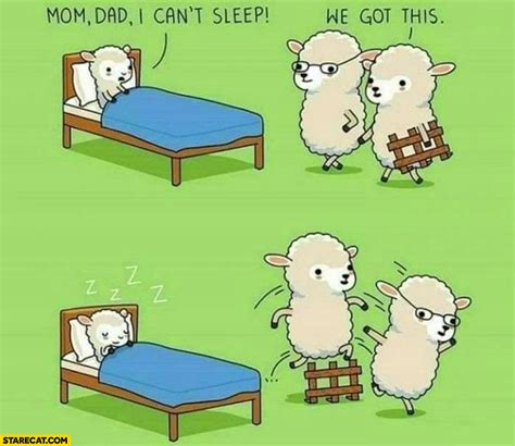 Sheep Mom Dad I Can’t Sleep We Got This Counting Sheep