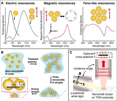Self Assembled Plasmonic Nanoparticle Clusters Science
