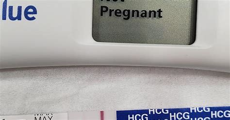 10 Dpo Pregmate And Clearblue 7hr Hold Cycle 12 After Vasectomy