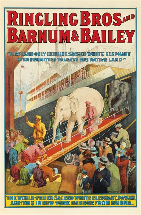 Ringling Bros And Barnum And Bailey White Elephant Circus Poster