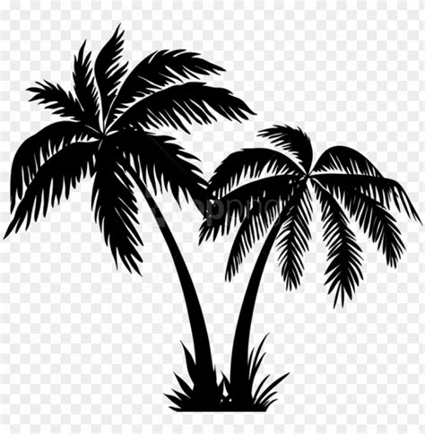 Coconut Tree Clipart Black And White