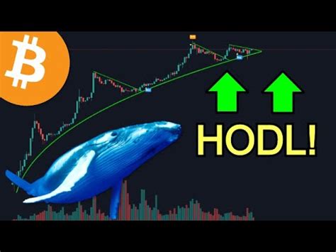 Capital one card services p.o. BITCOIN WHALE Population Near 2017 Levels & Capital One ...