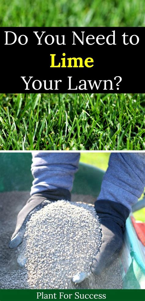 Lime Treatment For Lawn What You Need To Know Fruit Faves